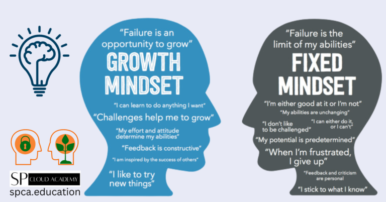 Fixed and Growth Mindset