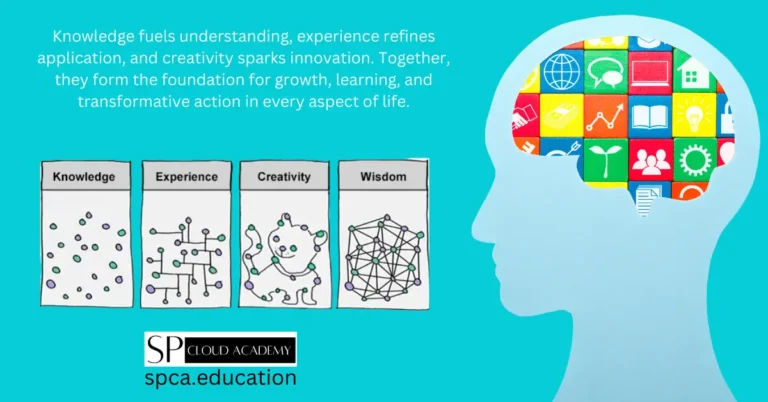 Knowledge, Experience and Creativity