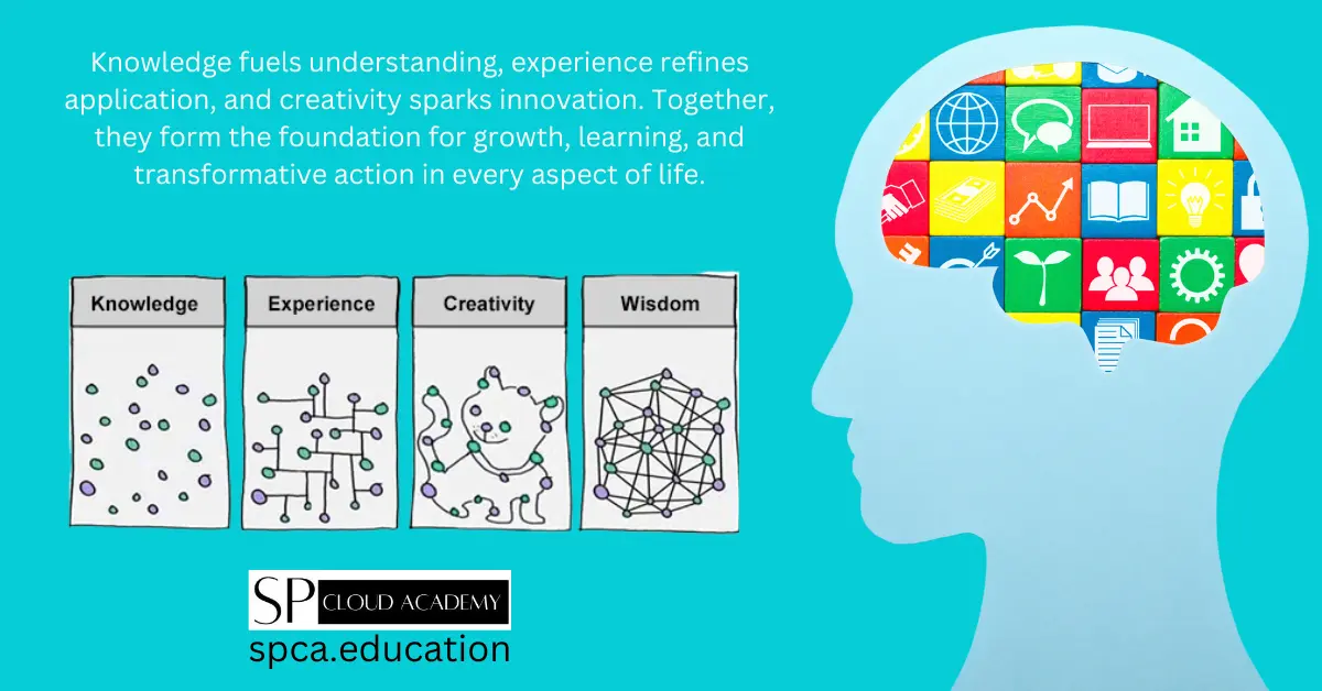 Unleashing the Power of Knowledge, Experience, and Creativity: A Winning Trio for Success